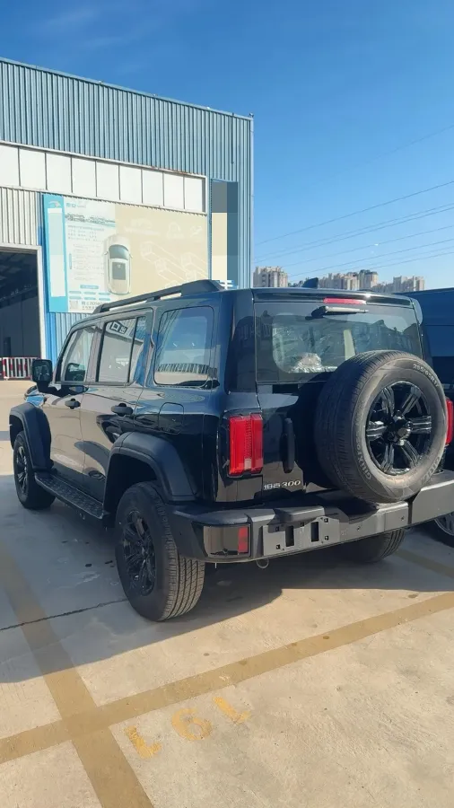 2025 Tank 300 2.0T 227HP L4 9AT,autocango,china used car exporter,china ev exporter,chinese used car exporter,chinese used ev exporter