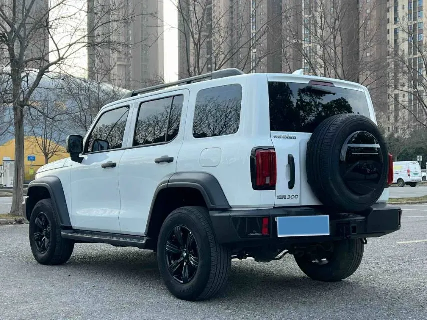 2023 Tank 300 2.0T 227HP L4 8AT,autocango,china used car exporter,china ev exporter,chinese used car exporter,chinese used ev exporter