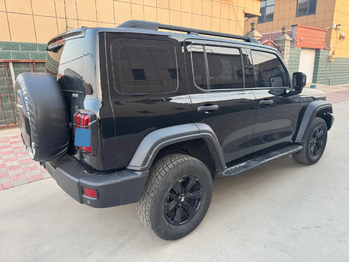 2021 Tank 300 2.0T 227HP L4 8AT,autocango,china used car exporter,china ev exporter,chinese used car exporter,chinese used ev exporter