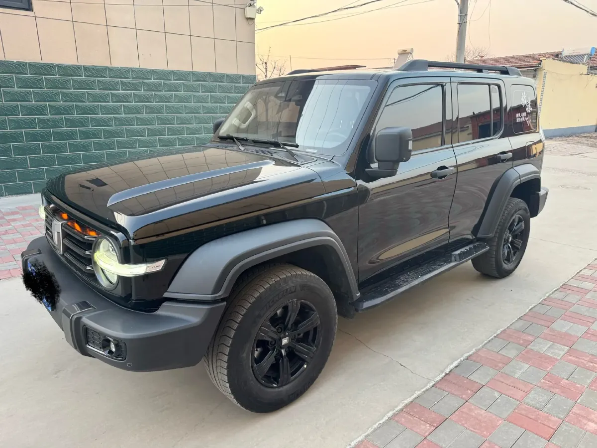 2021 Tank 300 2.0T 227HP L4 8AT,autocango,china used car exporter,china ev exporter,chinese used car exporter,chinese used ev exporter