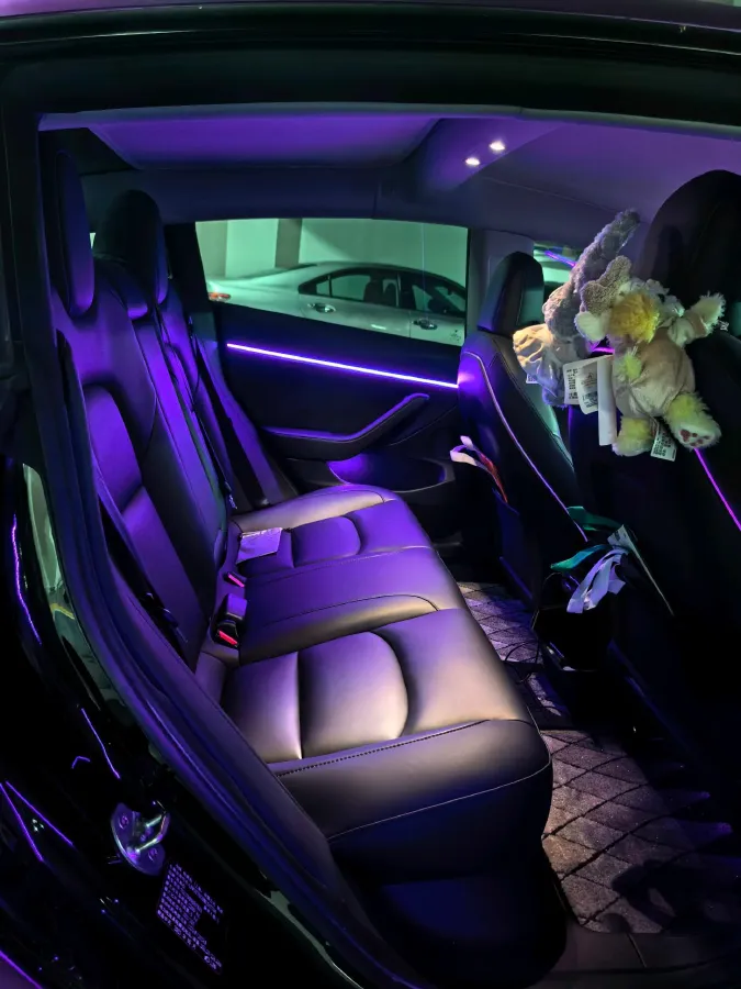 2021 Tesla Model 3 BEV 76.8KWH,autocango,china used car exporter,china ev exporter,chinese used car exporter,chinese used ev exporter