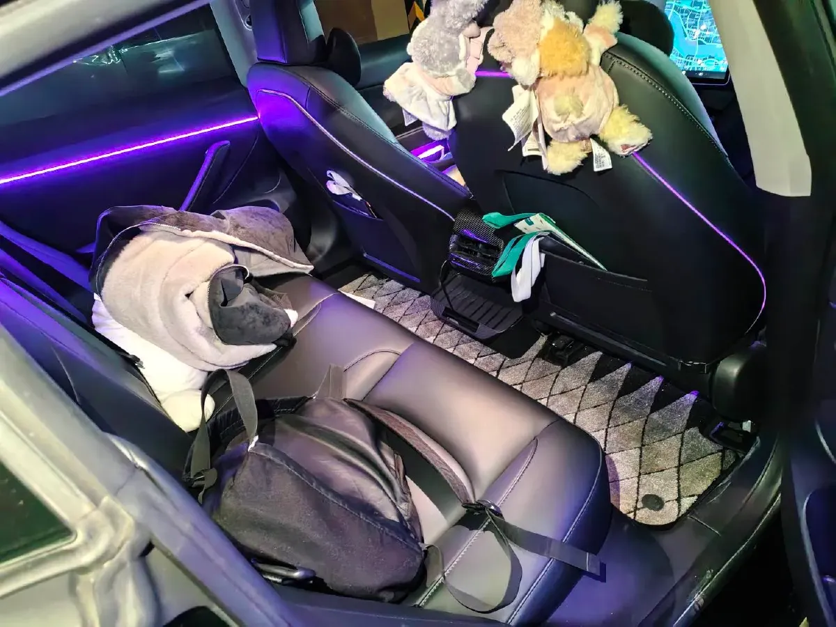 2021 Tesla Model 3 BEV 76.8KWH,autocango,china used car exporter,china ev exporter,chinese used car exporter,chinese used ev exporter