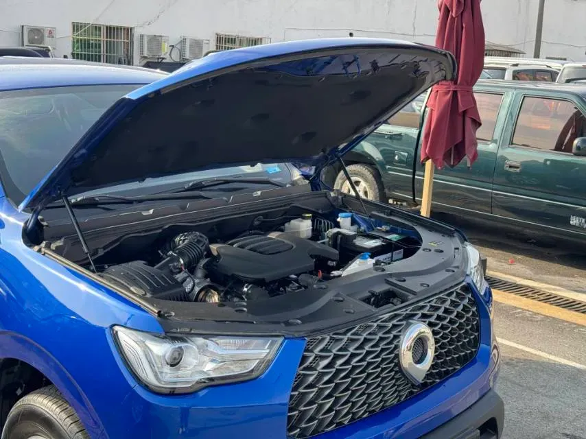 2021 Great Wall Poer 2.0T 163HP L4 8AT,autocango,china used car exporter,china ev exporter,chinese used car exporter,chinese used ev exporter