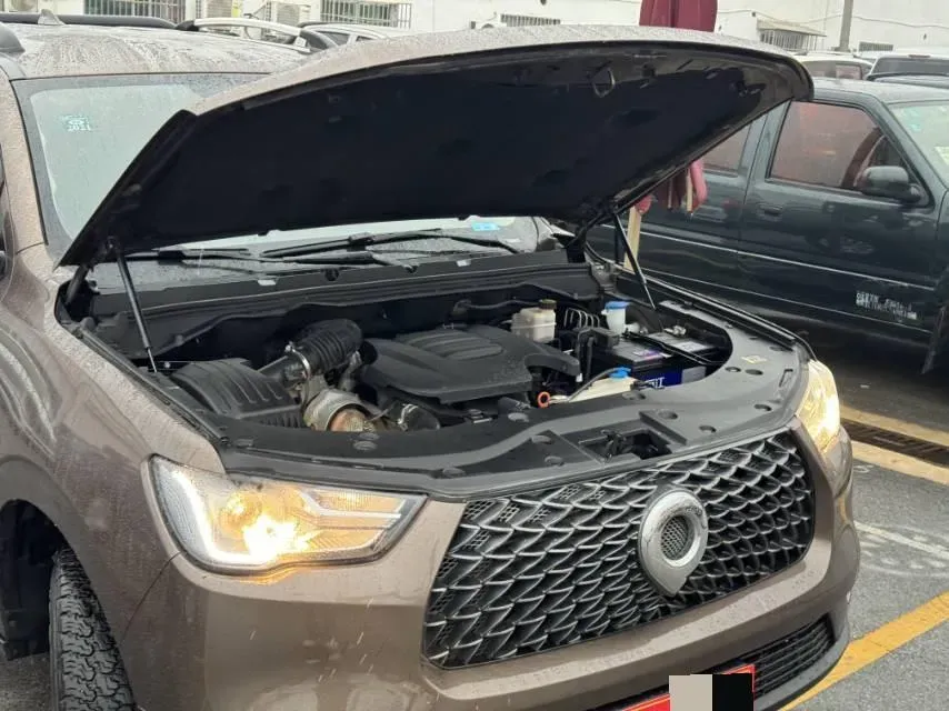 2019 Great Wall Poer 2.0T 163HP L4 6MT,autocango,china used car exporter,china ev exporter,chinese used car exporter,chinese used ev exporter