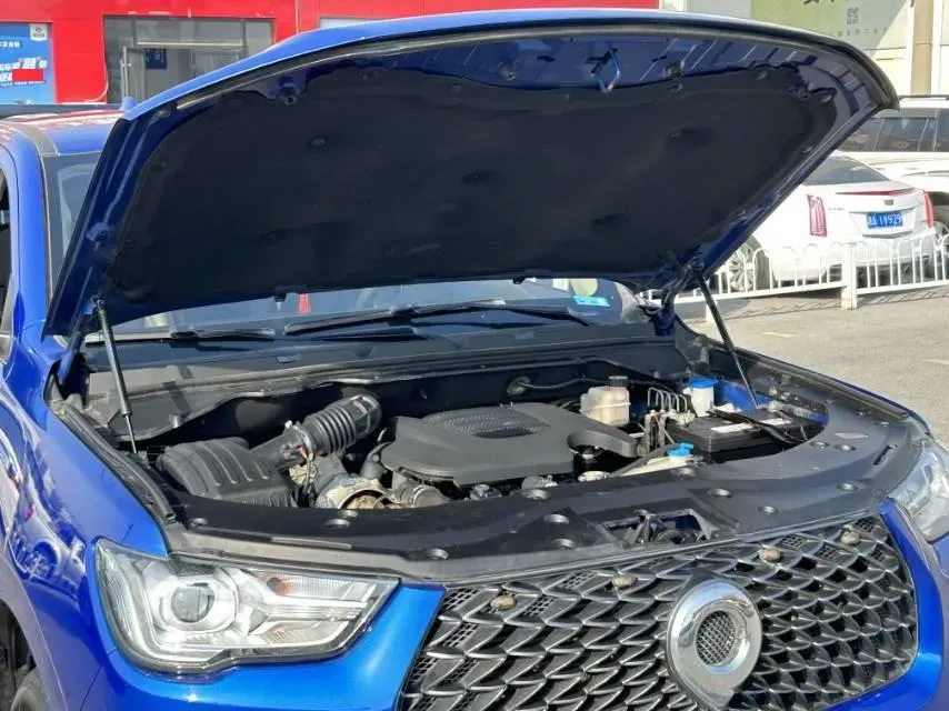 2019 Great Wall Poer 2.0T 163HP L4 6MT,autocango,china used car exporter,china ev exporter,chinese used car exporter,chinese used ev exporter