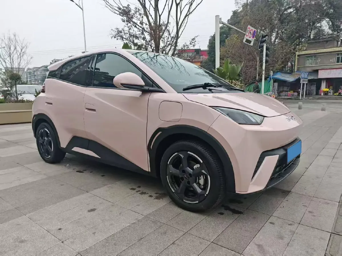 2024 BYD Seagull BEV 38.88KWH,autocango,china used car exporter,china ev exporter,chinese used car exporter,chinese used ev exporter