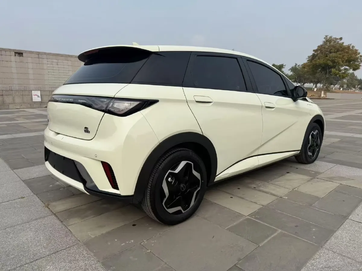 2021 BYD Yuan Pro BEV 50.1KWH,autocango,china used car exporter,china ev exporter,chinese used car exporter,chinese used ev exporter