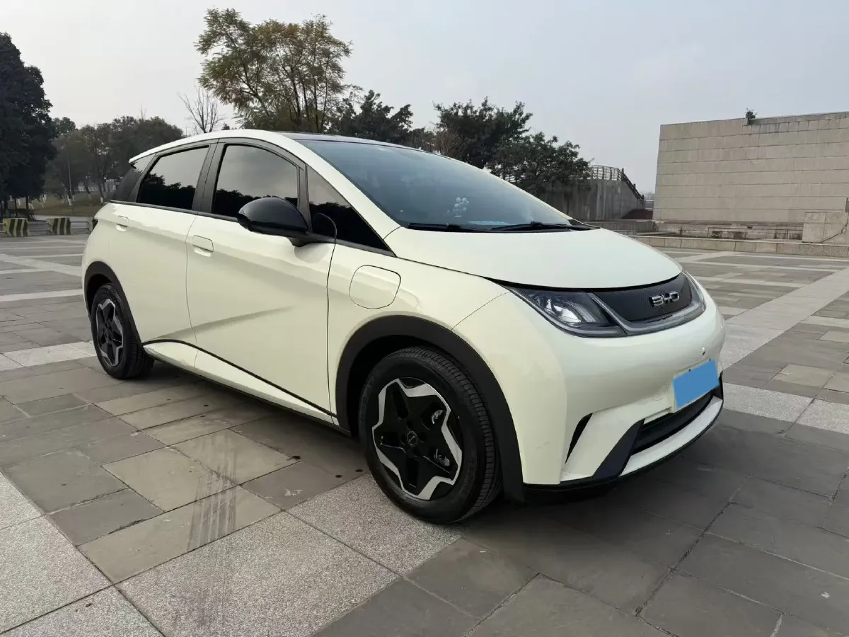 2021 BYD Yuan Pro BEV 50.1KWH,autocango,china used car exporter,china ev exporter,chinese used car exporter,chinese used ev exporter