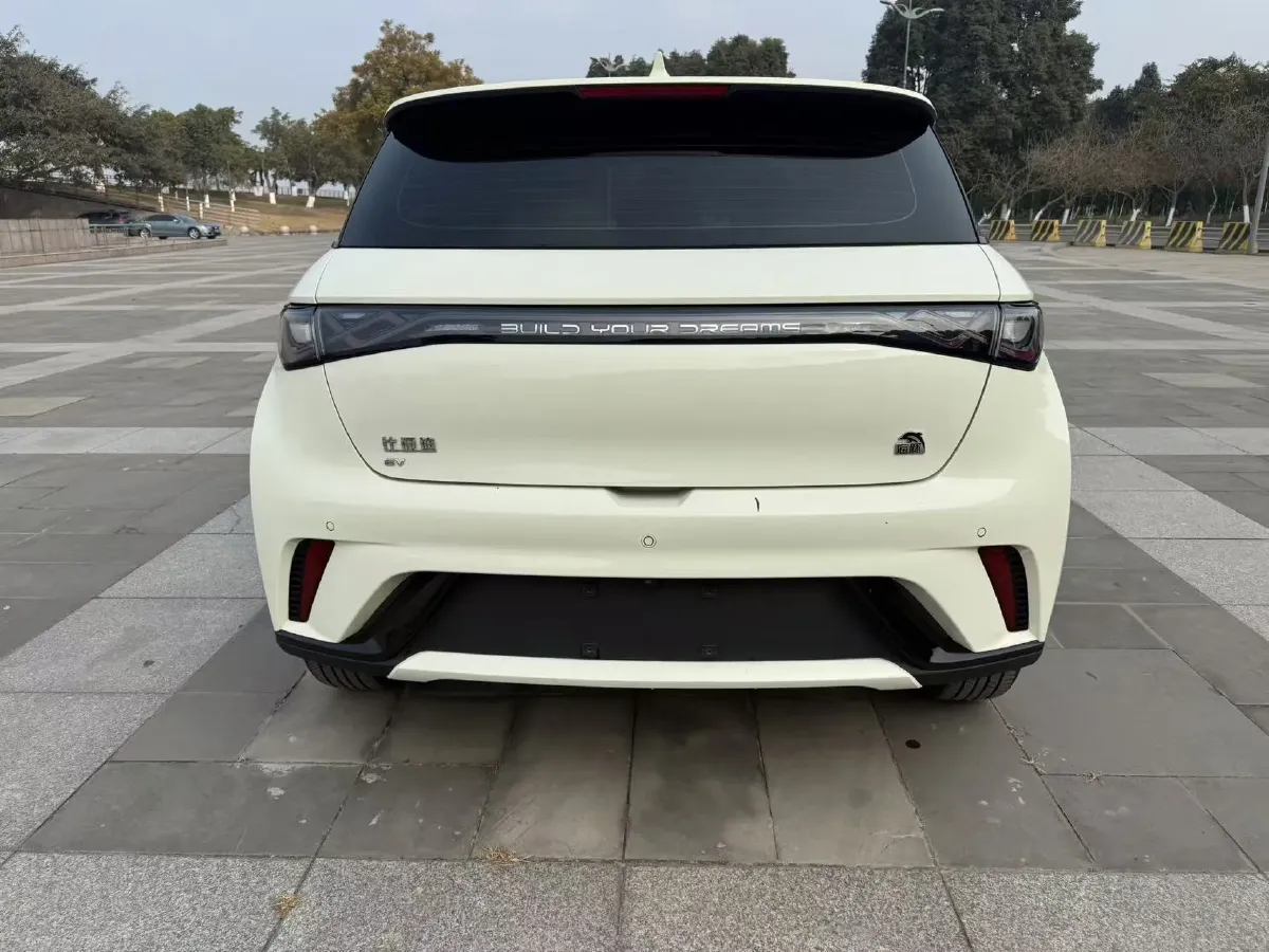 2021 BYD Yuan Pro BEV 50.1KWH,autocango,china used car exporter,china ev exporter,chinese used car exporter,chinese used ev exporter