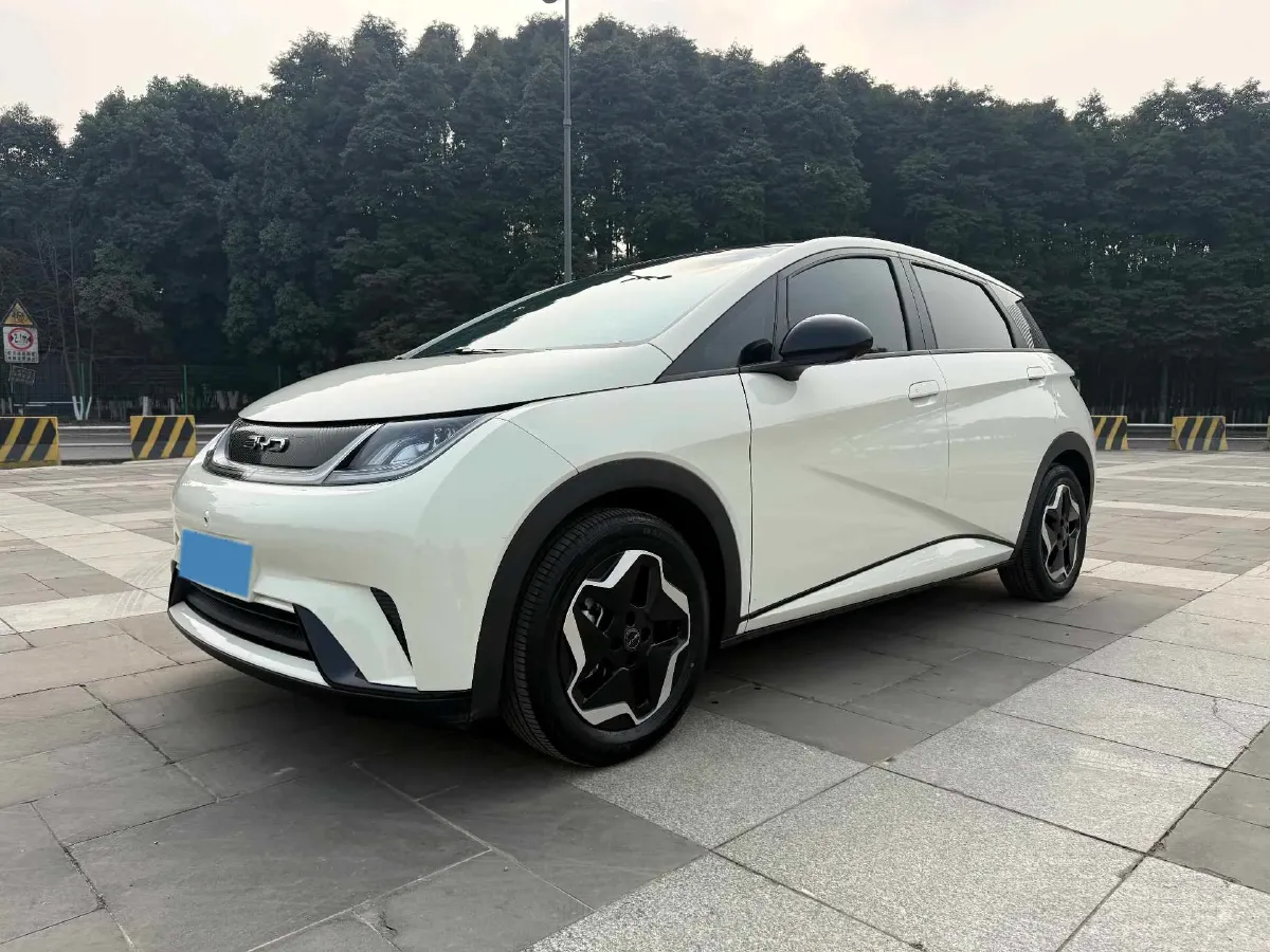 2021 BYD Yuan Pro BEV 50.1KWH,autocango,china used car exporter,china ev exporter,chinese used car exporter,chinese used ev exporter