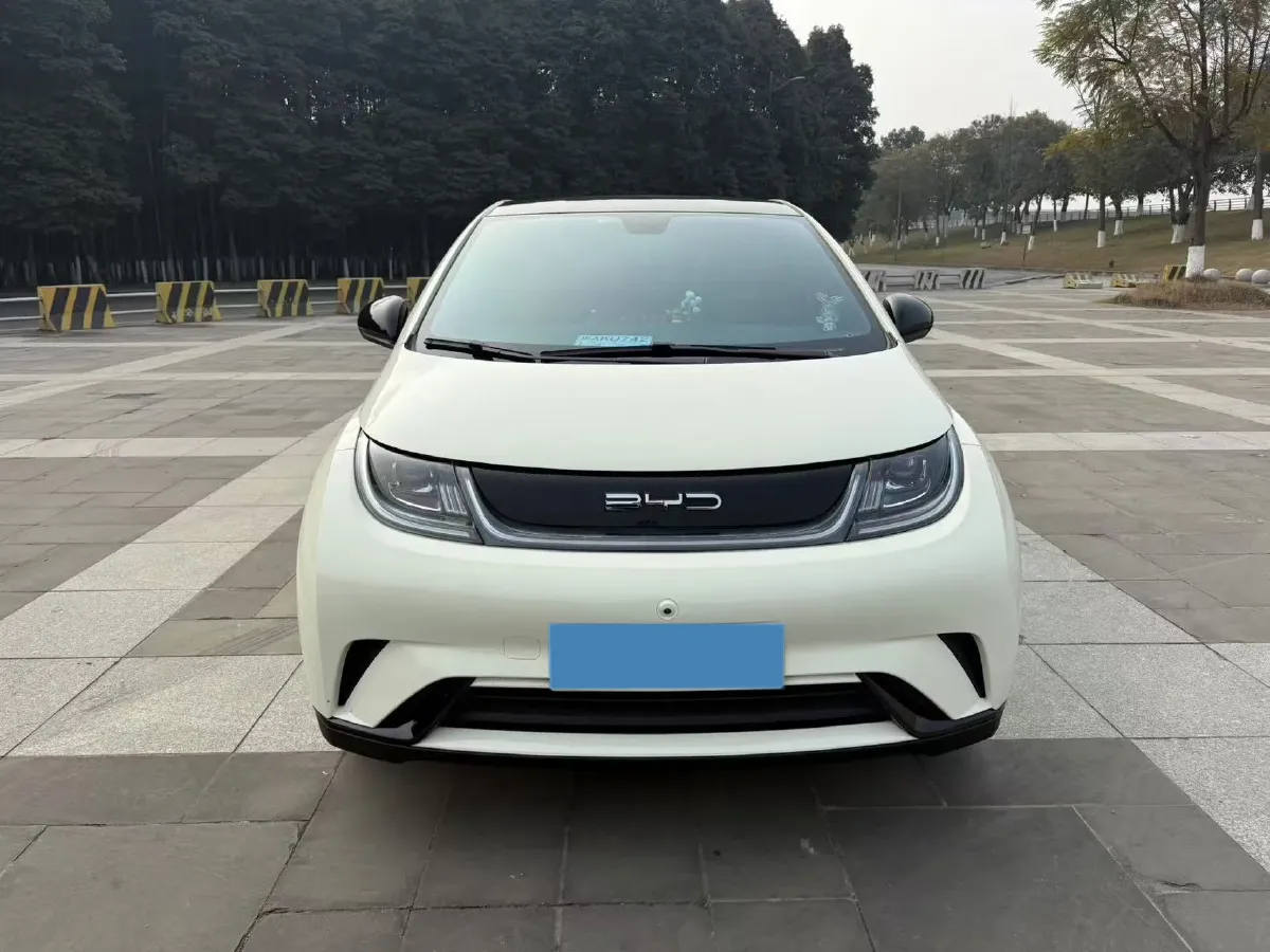 2021 BYD Yuan Pro BEV 50.1KWH,autocango,china used car exporter,china ev exporter,chinese used car exporter,chinese used ev exporter