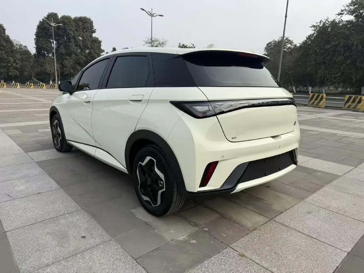 2021 BYD Yuan Pro BEV 50.1KWH,autocango,china used car exporter,china ev exporter,chinese used car exporter,chinese used ev exporter