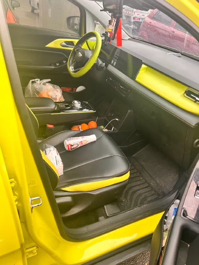 2022 Geometry E BEV 39.4KWH,autocango,china used car exporter,china ev exporter,chinese used car exporter,chinese used ev exporter