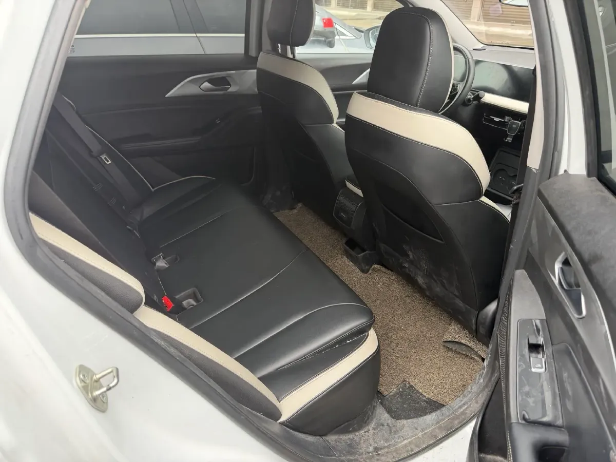 2023 Geometry E BEV 39.4KWH,autocango,china used car exporter,china ev exporter,chinese used car exporter,chinese used ev exporter