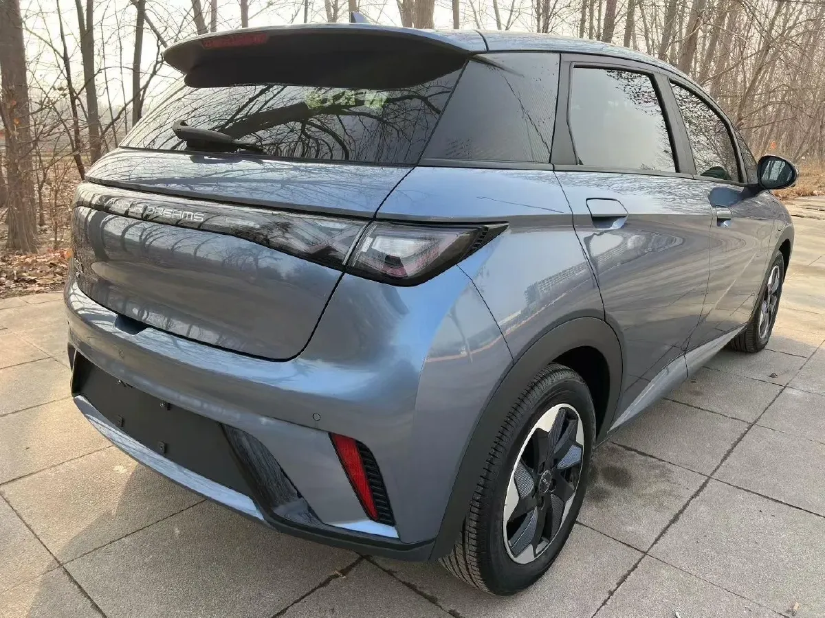 2024 BYD Dolphin BEV 44.928KWH,autocango,china used car exporter,china ev exporter,chinese used car exporter,chinese used ev exporter