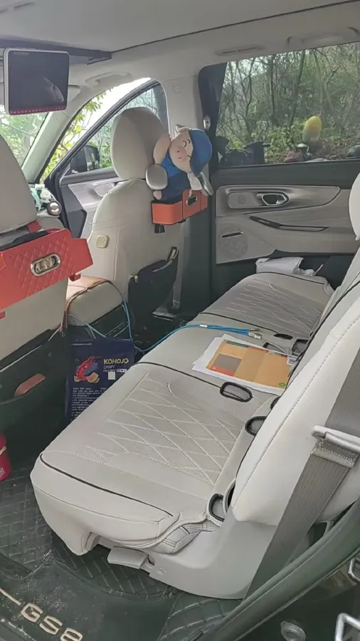 2022 GAC Trumpchi GS8 2.0T 252HP L4 8AT,autocango,china used car exporter,china ev exporter,chinese used car exporter,chinese used ev exporter