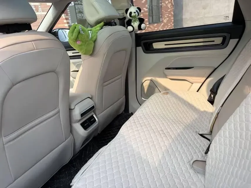 2024 Geely OkavangoPRO 1.5T 181HP L4 7DCT,autocango,china used car exporter,china ev exporter,chinese used car exporter,chinese used ev exporter