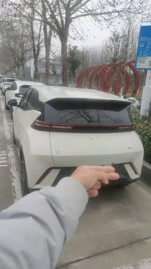 2024 BYD Seagull BEV 30.08KWH,autocango,china used car exporter,china ev exporter,chinese used car exporter,chinese used ev exporter