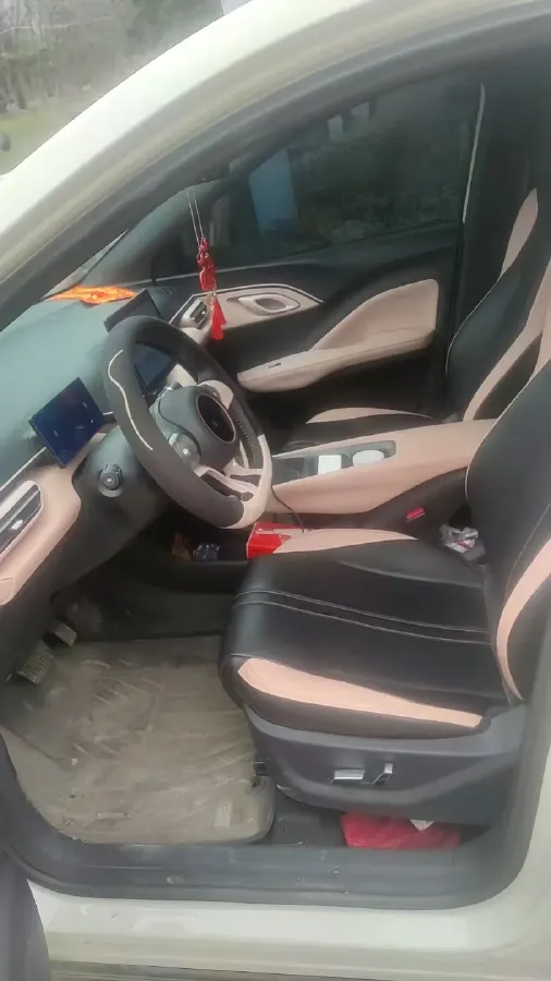 2024 BYD Seagull BEV 30.08KWH,autocango,china used car exporter,china ev exporter,chinese used car exporter,chinese used ev exporter