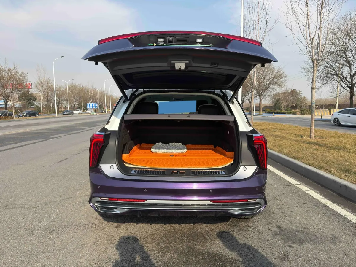 2021 HongQi E-HS9 BEV 99KWH,autocango,china used car exporter,china ev exporter,chinese used car exporter,chinese used ev exporter