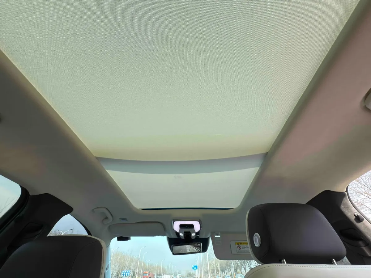 2021 HongQi E-HS9 BEV 99KWH,autocango,china used car exporter,china ev exporter,chinese used car exporter,chinese used ev exporter