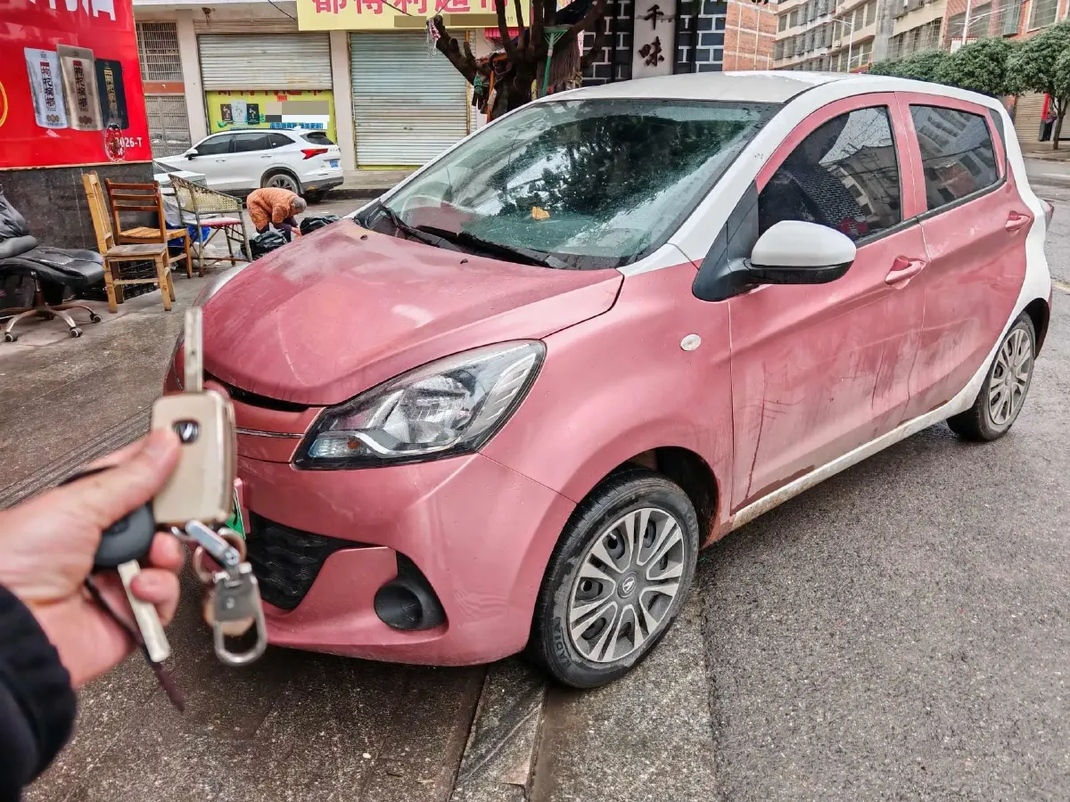 2021 ChangAn BenBen E-Star BEV 31.95KWH,autocango,china used car exporter,china ev exporter,chinese used car exporter,chinese used ev exporter