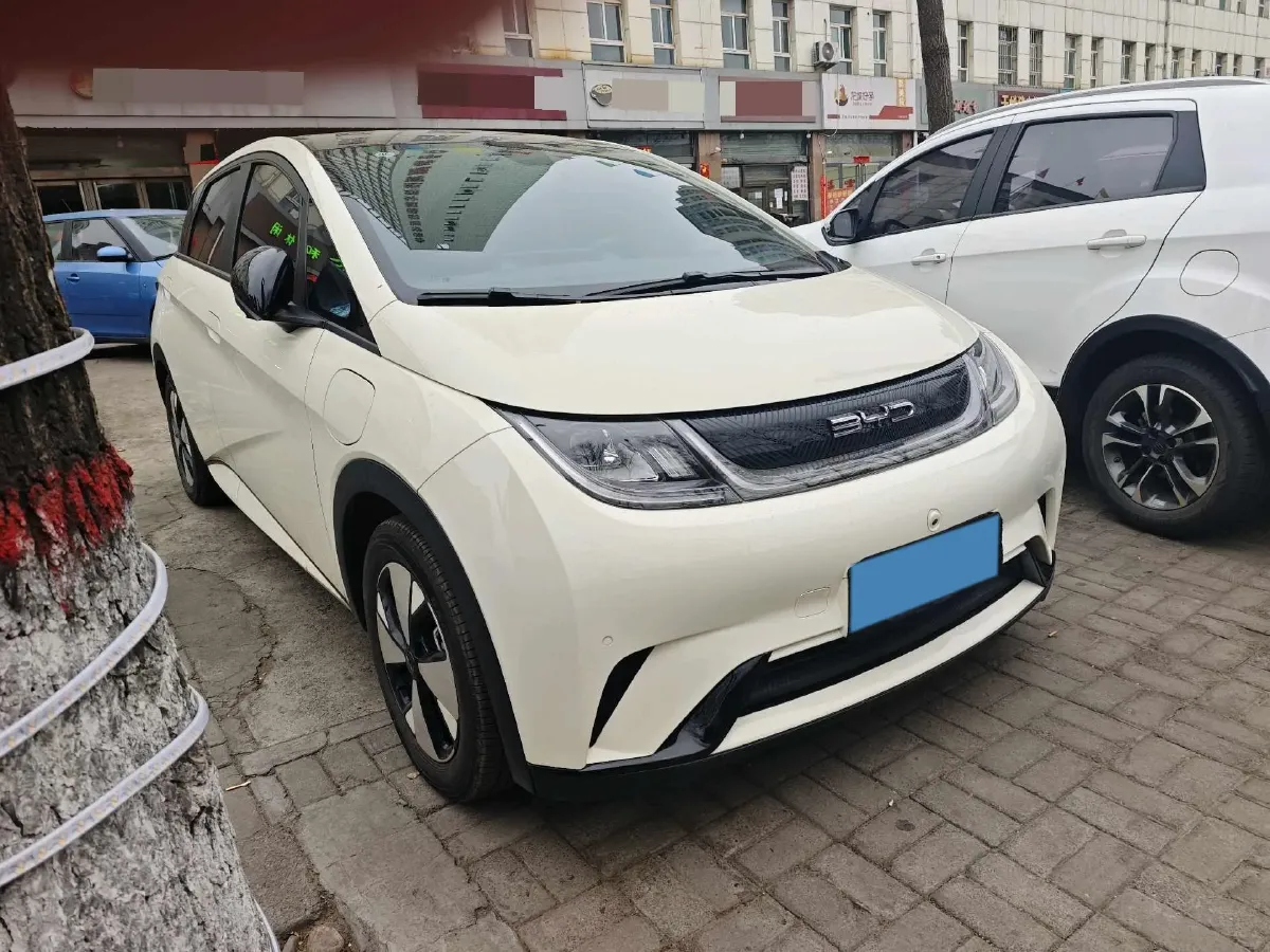 2023 BYD Dolphin BEV 44.928KWH,autocango,china used car exporter,china ev exporter,chinese used car exporter,chinese used ev exporter