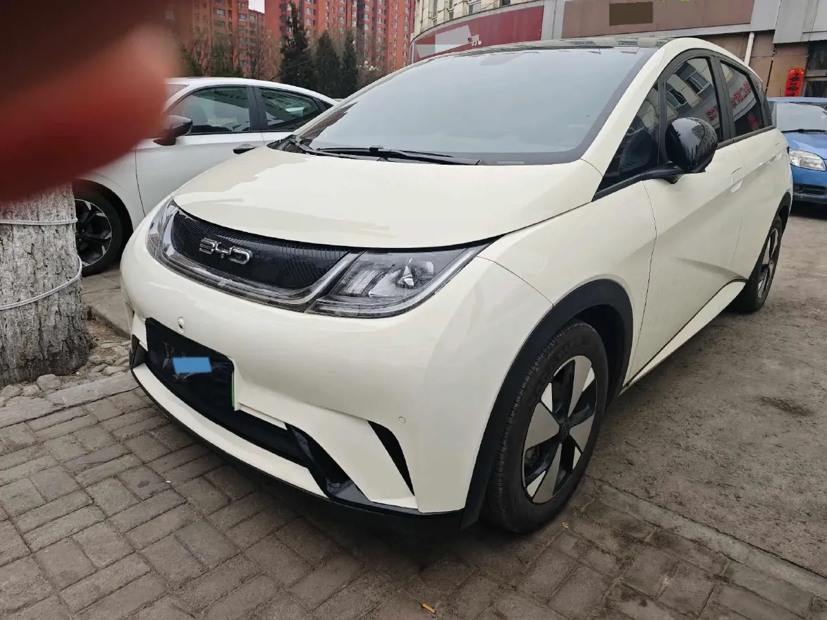 2023 BYD Dolphin BEV 44.928KWH,autocango,china used car exporter,china ev exporter,chinese used car exporter,chinese used ev exporter
