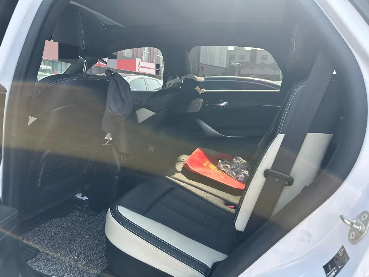 2020 Denza X 2.0T 192HP L4 6DCT PHEV 20KWH,autocango,china used car exporter,china ev exporter,chinese used car exporter,chinese used ev exporter