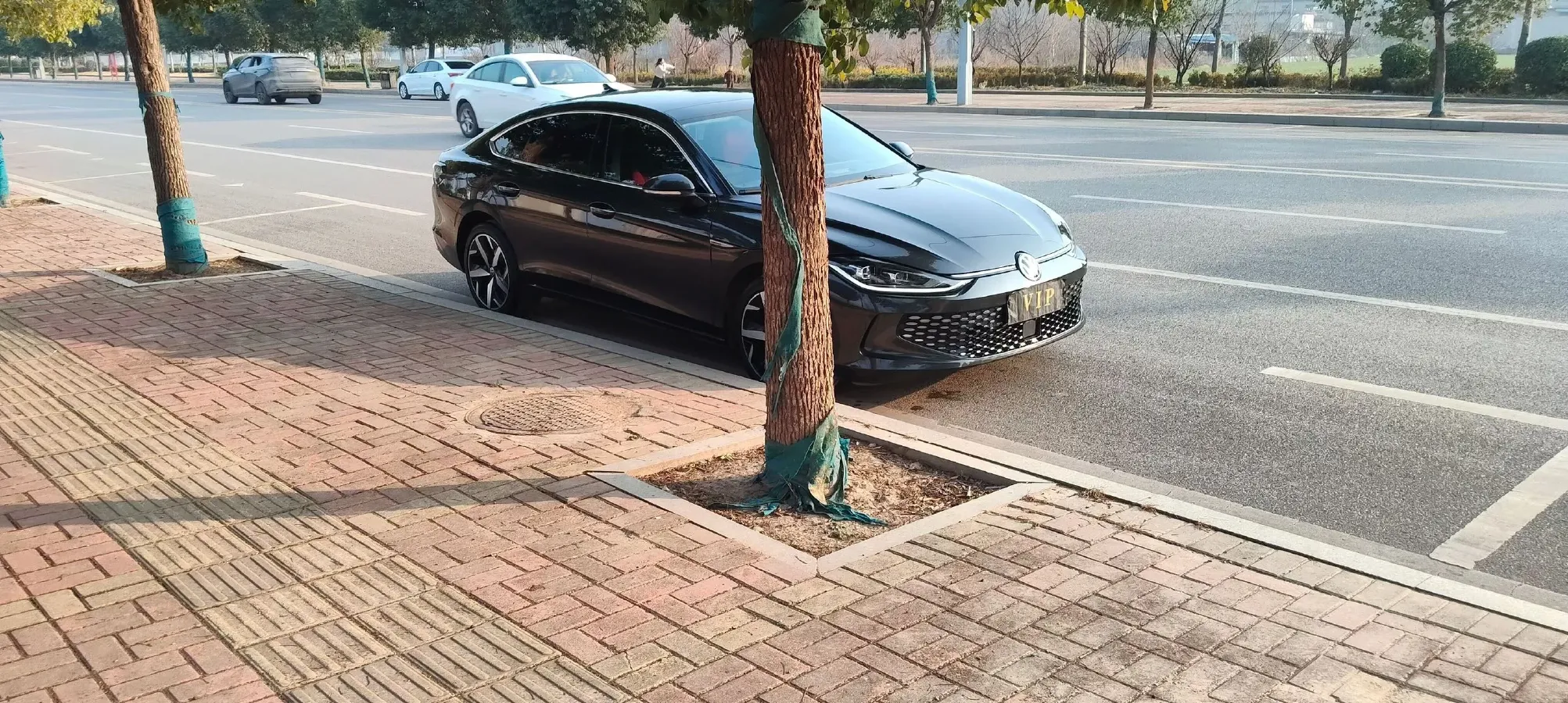 2023 Volkswagen Lamando 1.4T 150HP L4 7DCT,autocango,china used car exporter,china ev exporter,chinese used car exporter,chinese used ev exporter