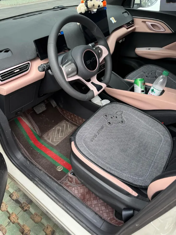 2025 BYD Seagull BEV 30.08KWH,autocango,china used car exporter,china ev exporter,chinese used car exporter,chinese used ev exporter