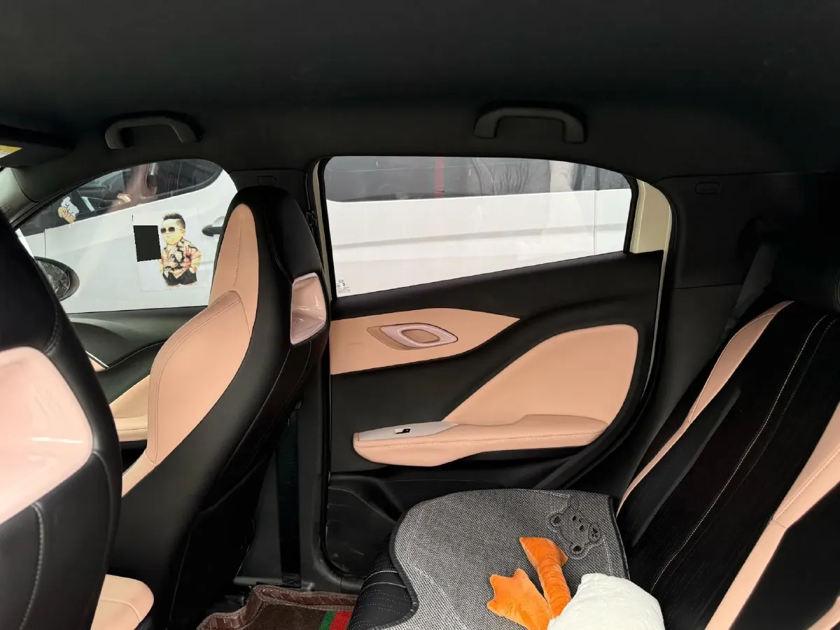 2025 BYD Seagull BEV 30.08KWH,autocango,china used car exporter,china ev exporter,chinese used car exporter,chinese used ev exporter