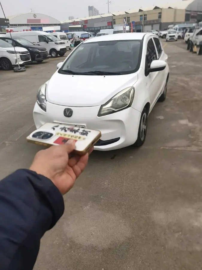 2021 ChangAn BenBen E-Star BEV 32.2KWH,autocango,china used car exporter,china ev exporter,chinese used car exporter,chinese used ev exporter