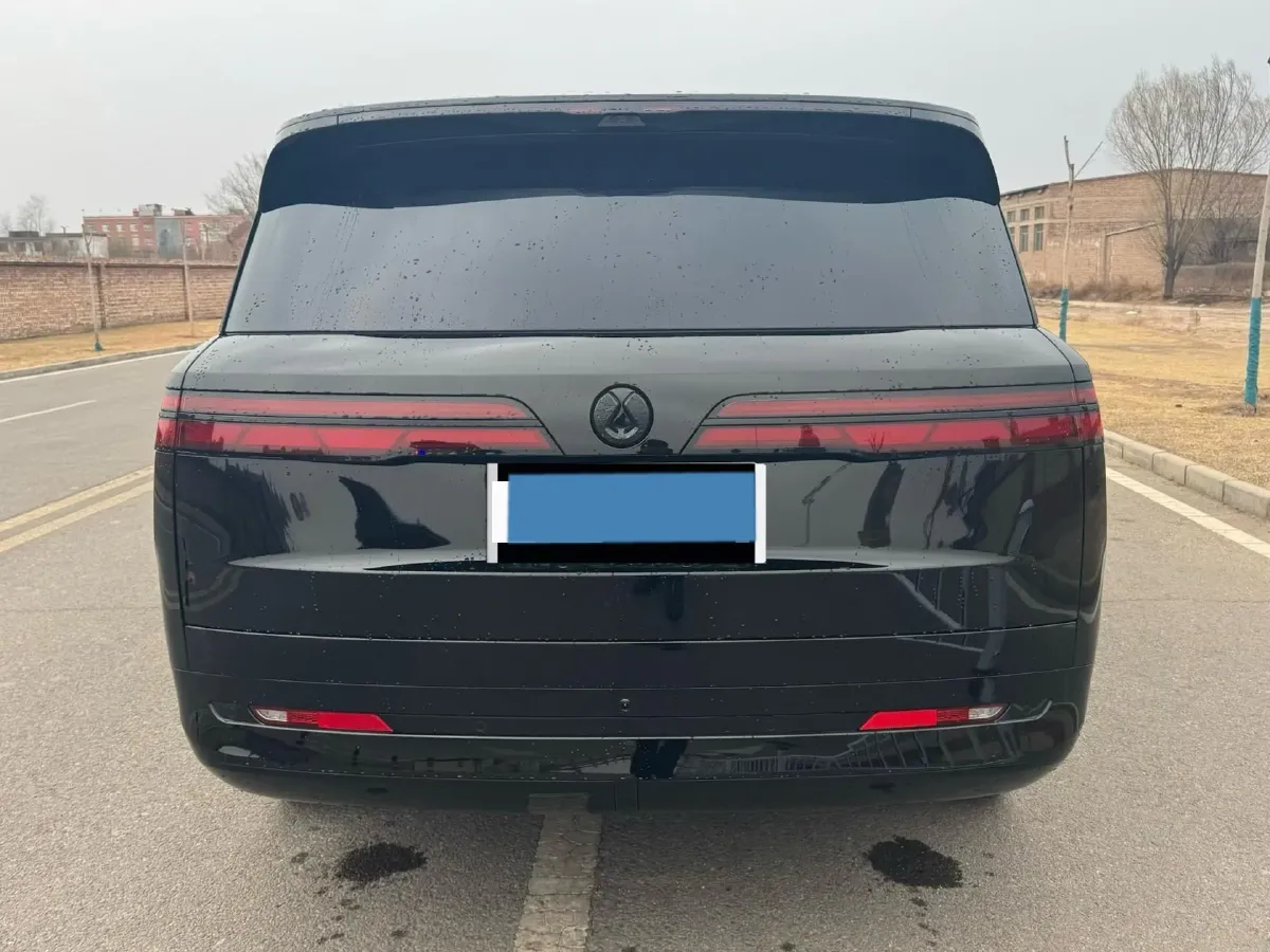 2025 Denza DenzaN9 2.0T 207HP L4 E-CVT PHEV,autocango,china used car exporter,china ev exporter,chinese used car exporter,chinese used ev exporter