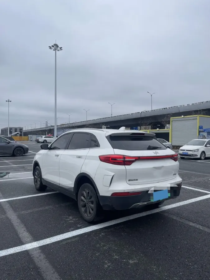 2021 Weltmeister EX5 BEV 52.704KWH,autocango,china used car exporter,china ev exporter,chinese used car exporter,chinese used ev exporter