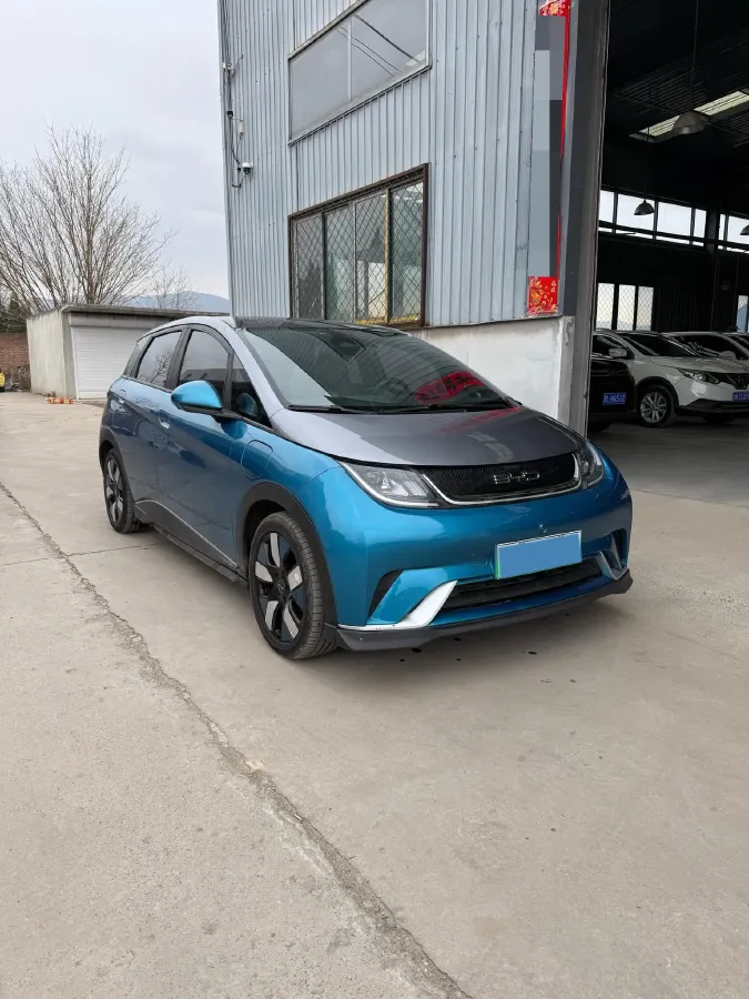 2021 BYD e2 BEV 43.2KWH,autocango,china used car exporter,china ev exporter,chinese used car exporter,chinese used ev exporter