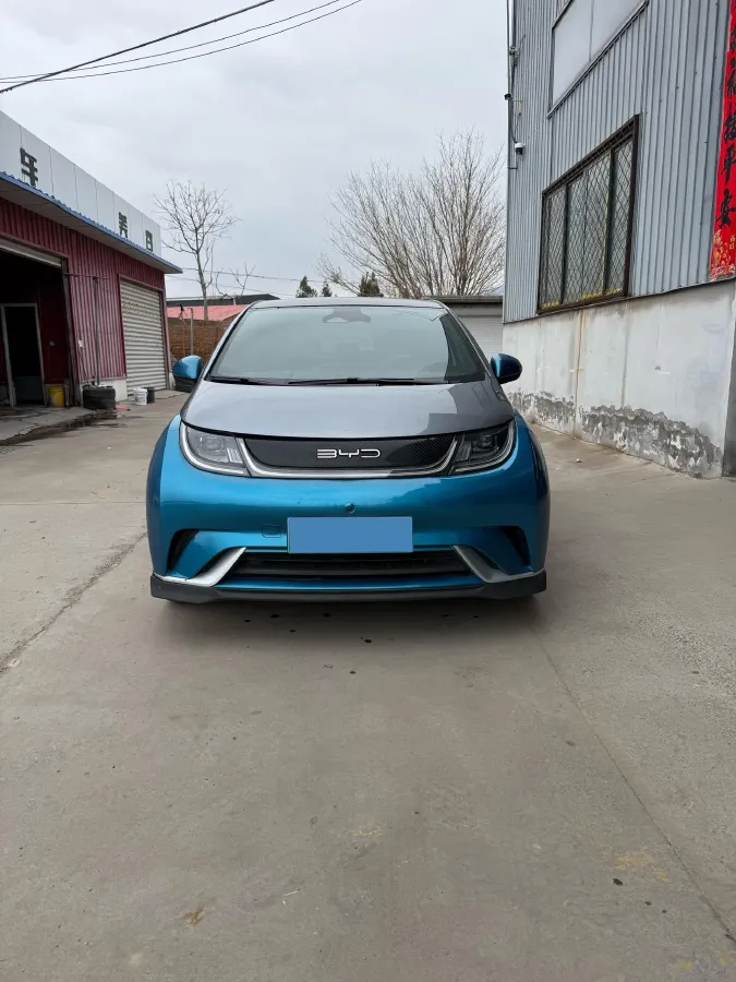2021 BYD e2 BEV 43.2KWH,autocango,china used car exporter,china ev exporter,chinese used car exporter,chinese used ev exporter
