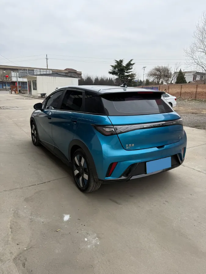 2021 BYD e2 BEV 43.2KWH,autocango,china used car exporter,china ev exporter,chinese used car exporter,chinese used ev exporter