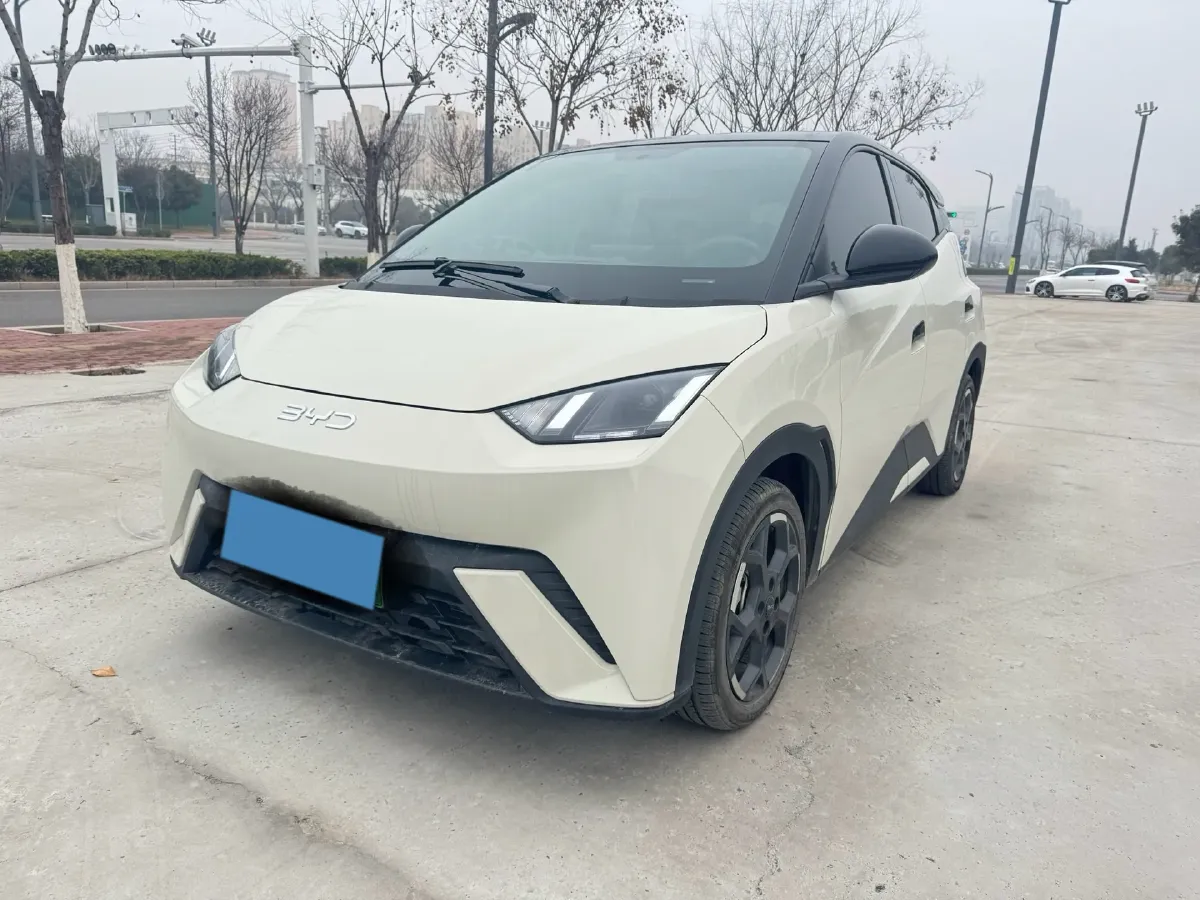 2025 BYD Seagull BEV 38.88KWH,autocango,china used car exporter,china ev exporter,chinese used car exporter,chinese used ev exporter
