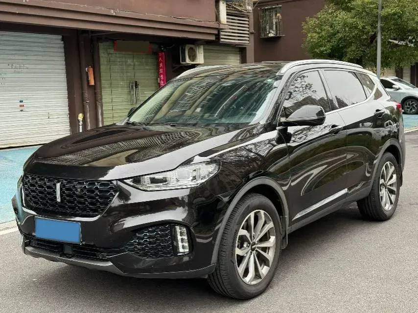 2018 WEY VV6 2.0T 197HP L4 7DCT,autocango,china used car exporter,china ev exporter,chinese used car exporter,chinese used ev exporter