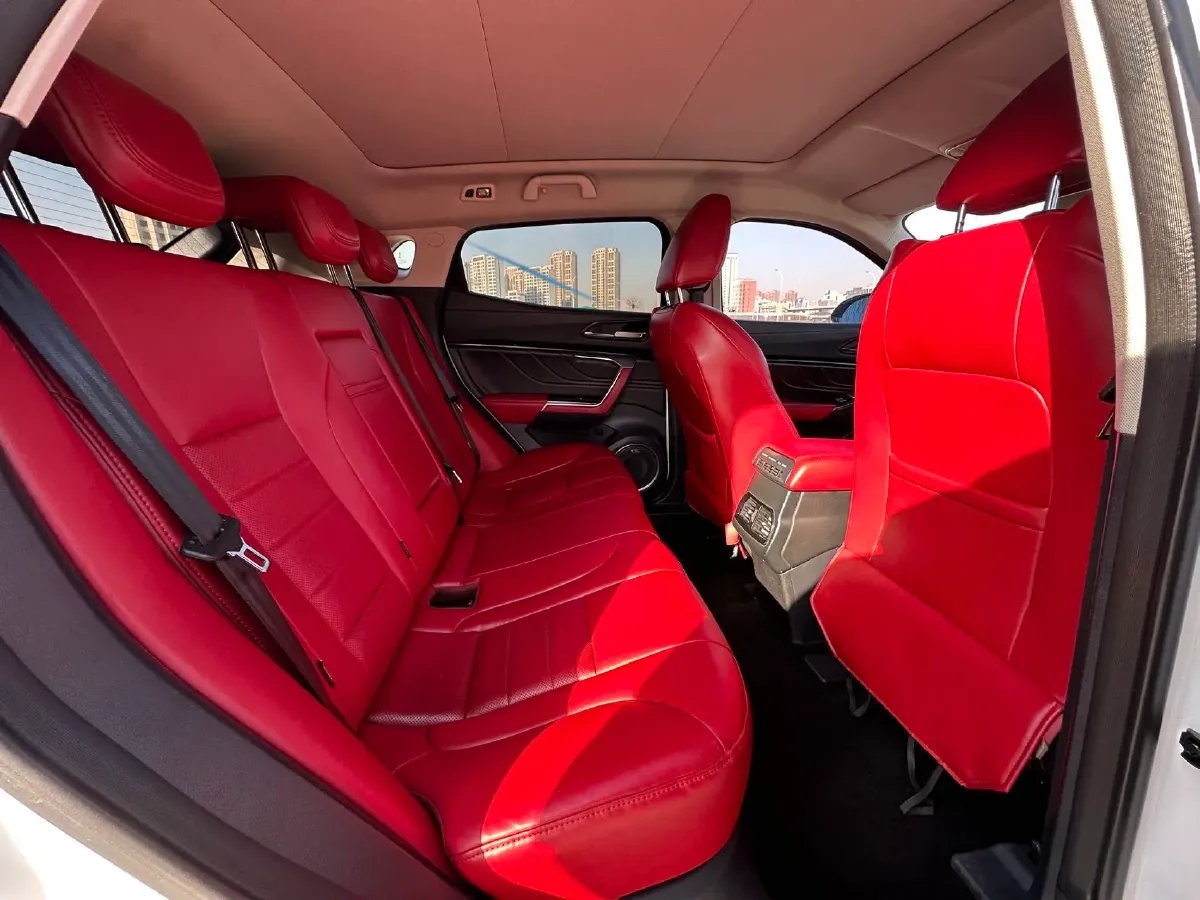 2017 WEY VV5 2.0T 197HP L4 7DCT,autocango,china used car exporter,china ev exporter,chinese used car exporter,chinese used ev exporter