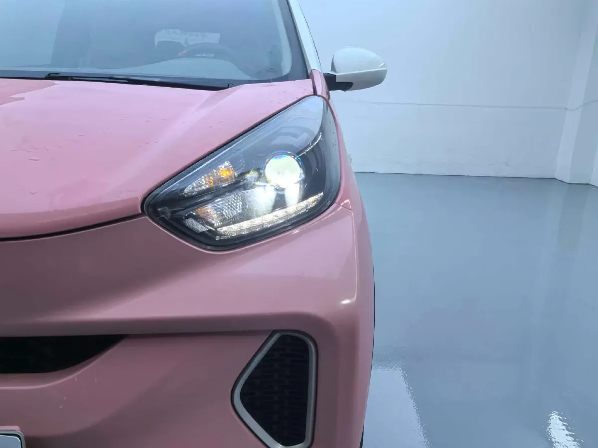 2019 Chery Little Ant BEV 30.6KWH,autocango,china used car exporter,china ev exporter,chinese used car exporter,chinese used ev exporter