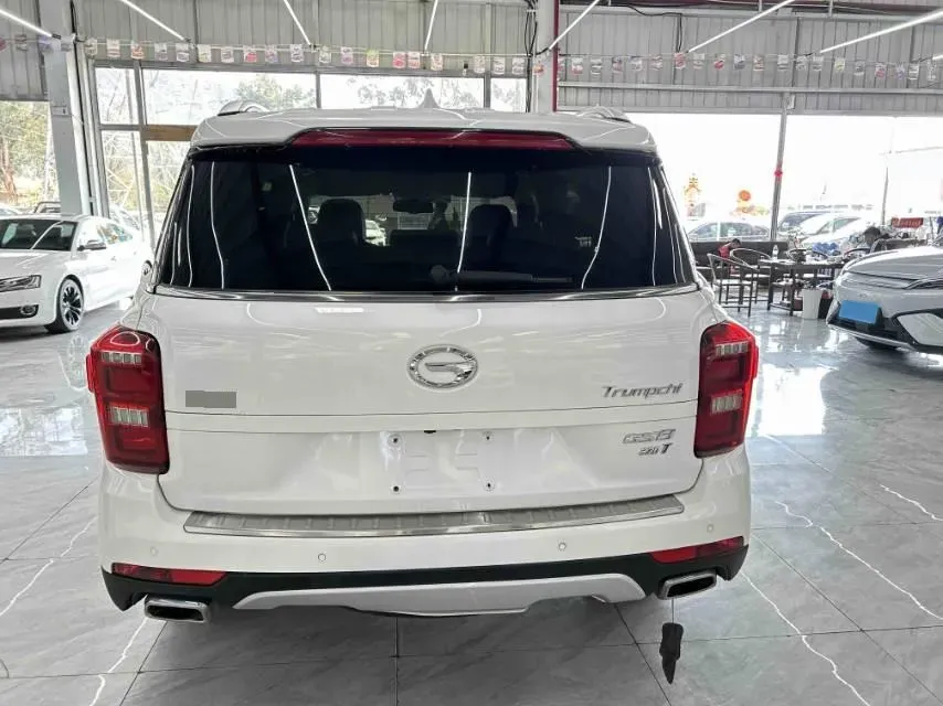 2017 GAC Trumpchi GS8 2.0T 201HP L4 6AT,autocango,china used car exporter,china ev exporter,chinese used car exporter,chinese used ev exporter