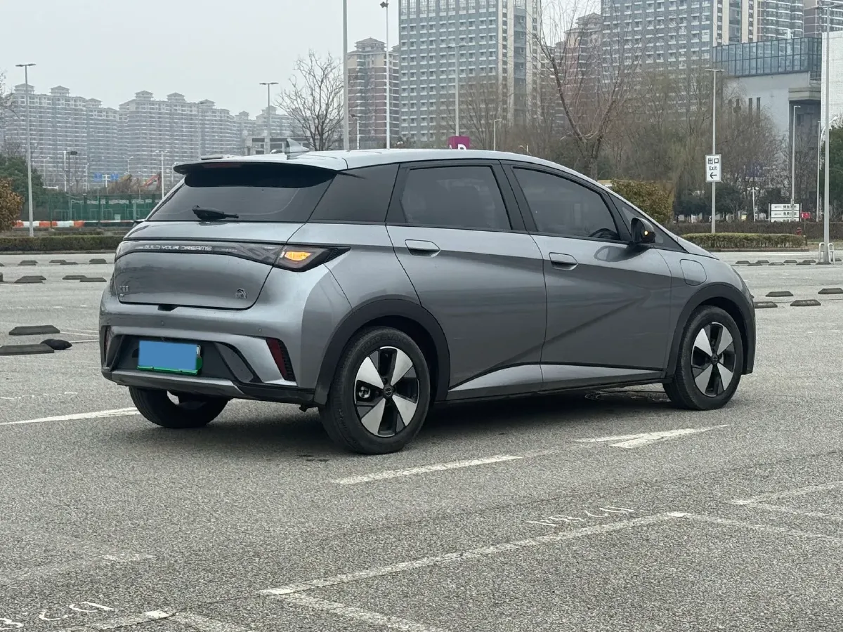 2023 BYD Dolphin BEV 44.928KWH,autocango,china used car exporter,china ev exporter,chinese used car exporter,chinese used ev exporter