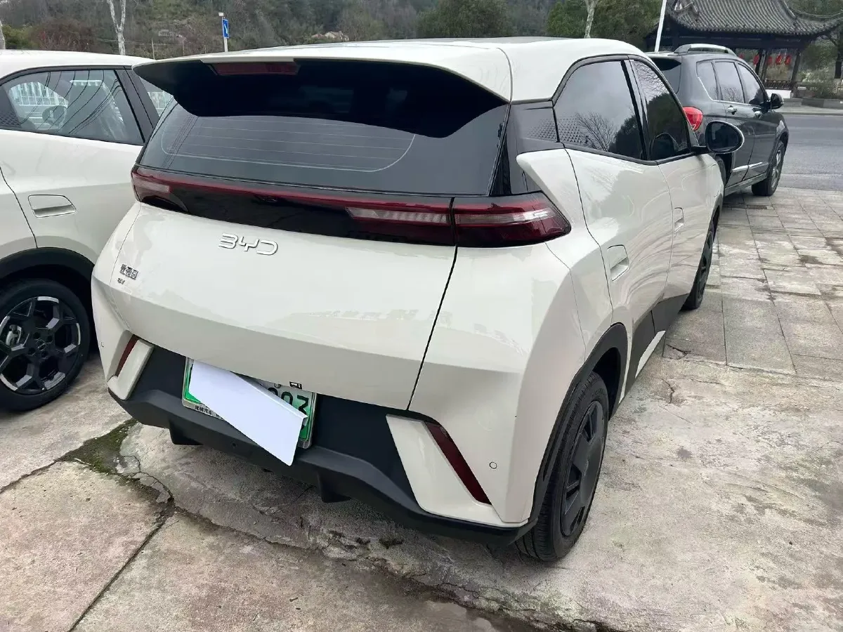 2024 BYD Seagull BEV 30.08KWH,autocango,china used car exporter,china ev exporter,chinese used car exporter,chinese used ev exporter