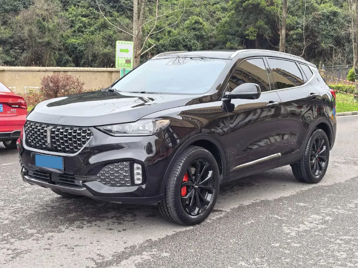 2020 WEY VV6 2.0T 227HP L4 7DCT,autocango,china used car exporter,china ev exporter,chinese used car exporter,chinese used ev exporter