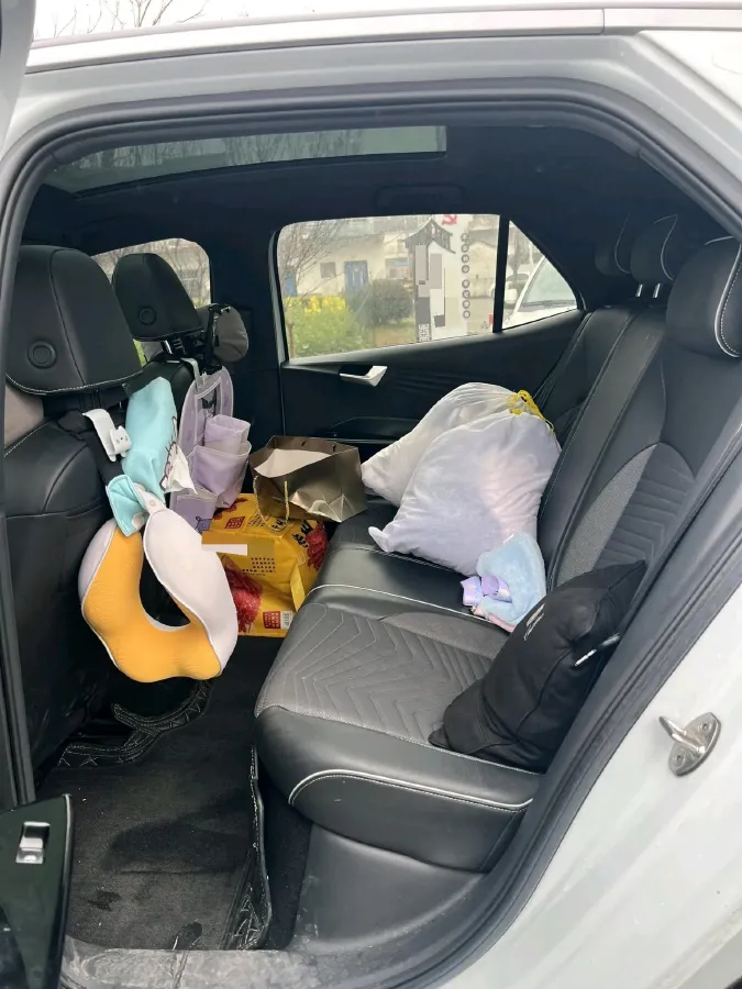 2023 DongFeng Forthing S60 EV BEV 54.6KWH,autocango,china used car exporter,china ev exporter,chinese used car exporter,chinese used ev exporter