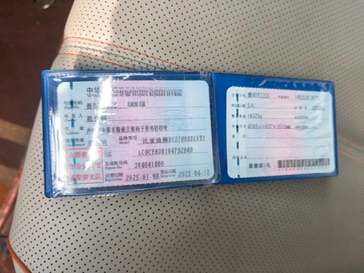 2024 BYD Qin Plus BEV 57.6KWH,autocango,china used car exporter,china ev exporter,chinese used car exporter,chinese used ev exporter