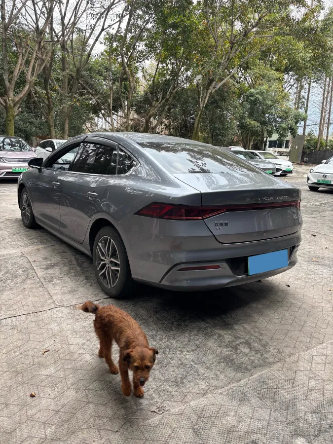 2021 DongFeng FuKang e Elysee BEV 30.7KWH,autocango,china used car exporter,china ev exporter,chinese used car exporter,chinese used ev exporter