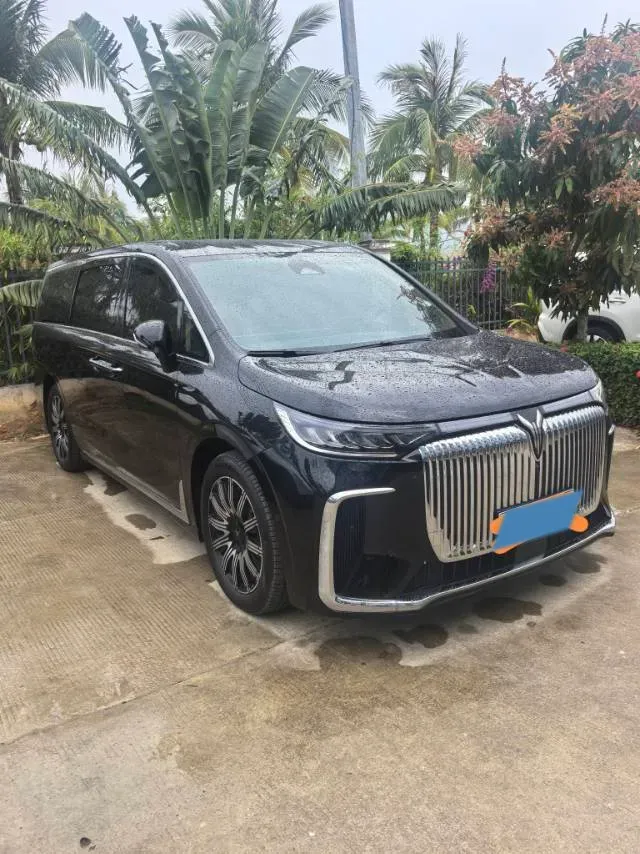 2025 Voyah Dream BEV 108.7KWH,autocango,china used car exporter,china ev exporter,chinese used car exporter,chinese used ev exporter
